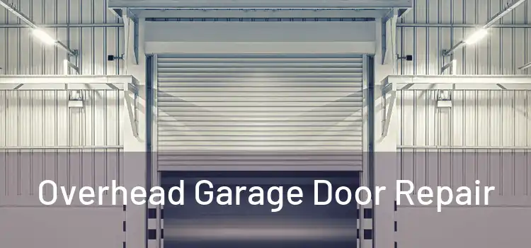  Overhead Garage Door Repair 